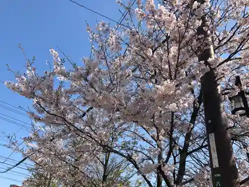 八雲神社の自然