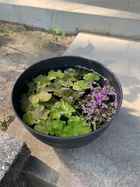 成田観音 円応寺(千葉県)