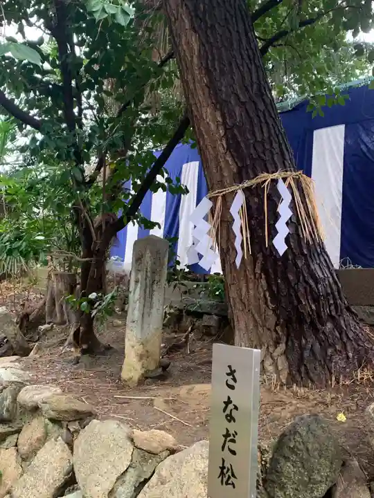 安居神社の自然