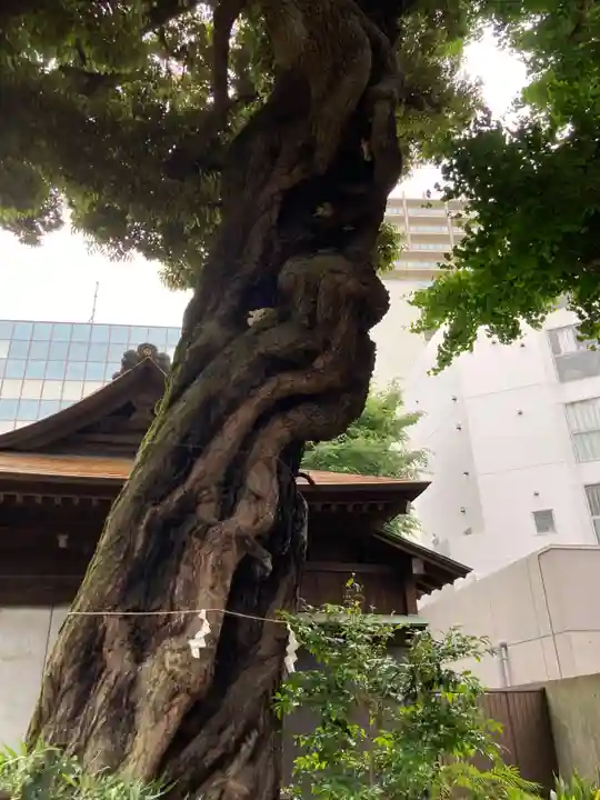 大森山王日枝神社(東京都)