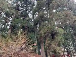 大宮温泉神社(栃木県)(2024年02月23日(金) 17時02分14秒投稿)