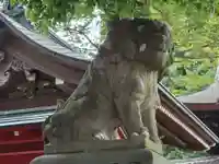 滝野川八幡神社の狛犬