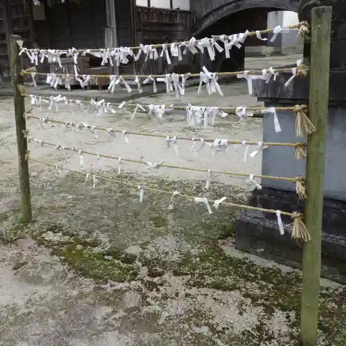 大神山神社本宮のおみくじ