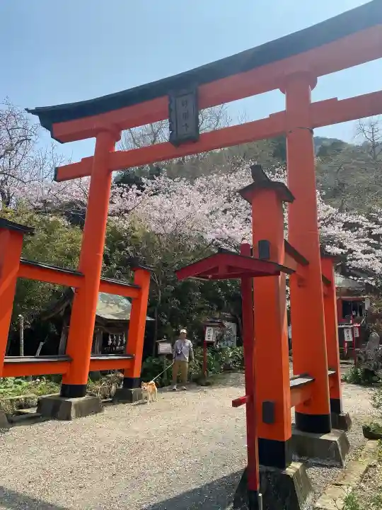 伊那下神社の{uncategorized: "未分類", other: "その他", undefined: "問題あり", building: "その他建物", grave: "お墓", sacred_gate: "鳥居", guardian: "狛犬", statue: "像", buddha: "仏像", history: "歴史", nature: "自然", garden: "庭園", animal: "動物", pagoda: "塔", temizu: "手水舎", mountain_gate: "山門・神門", sanctuary: "本殿・本堂", subordinate: "末社・摂社", art: "芸術", scenery: "景色", jizo: "地蔵", ema: "絵馬", goshuin: "御朱印", omikuji: "おみくじ", items: "授与品その他", amulet: "お守り", goshuincho: "御朱印帳", eats: "食事", festival: "お祭り", votive_dance: "神楽", shichigosan: "七五三参", wedding: "結婚式", experience: "体験その他", initially: "初詣", around: "周辺", anti_infection: "感染症対策"}