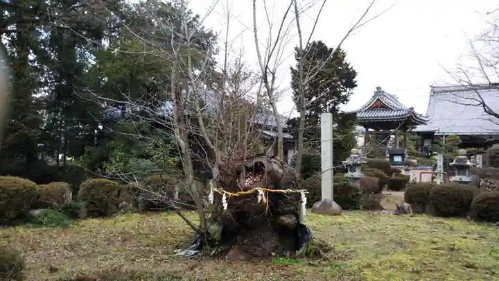 八幡神社のその他建物