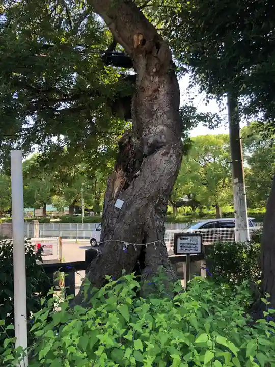 水堂須佐男神社の自然