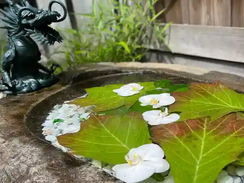 琴似神社(北海道)