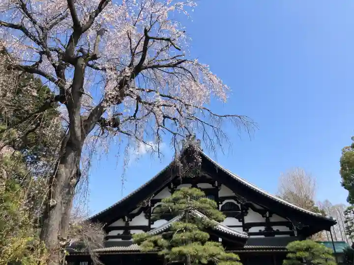 総持寺の{uncategorized: "未分類", other: "その他", undefined: "問題あり", building: "その他建物", grave: "お墓", sacred_gate: "鳥居", guardian: "狛犬", statue: "像", buddha: "仏像", history: "歴史", nature: "自然", garden: "庭園", animal: "動物", pagoda: "塔", temizu: "手水舎", mountain_gate: "山門・神門", sanctuary: "本殿・本堂", subordinate: "末社・摂社", art: "芸術", scenery: "景色", jizo: "地蔵", ema: "絵馬", goshuin: "御朱印", omikuji: "おみくじ", items: "授与品その他", amulet: "お守り", goshuincho: "御朱印帳", eats: "食事", festival: "お祭り", votive_dance: "神楽", shichigosan: "七五三参", wedding: "結婚式", experience: "体験その他", initially: "初詣", around: "周辺", anti_infection: "感染症対策"}