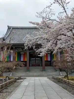 智積院の本殿・本堂