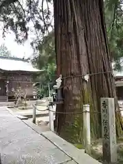 水主神社の自然