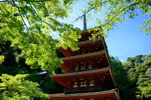 長谷寺のその他建物