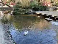 平塚八幡宮(神奈川県)