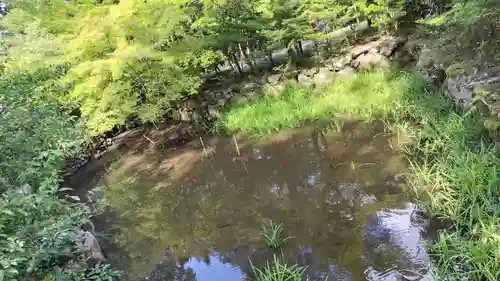 鍬山神社(京都府)