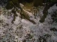 極楽寺(霊鷲山感應院極楽律寺)の自然