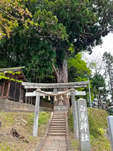 配志和神社の末社