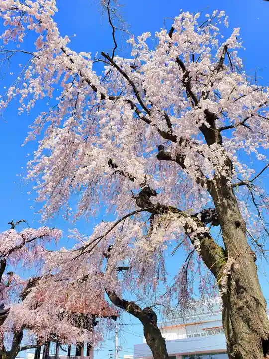 長松院(福島県)