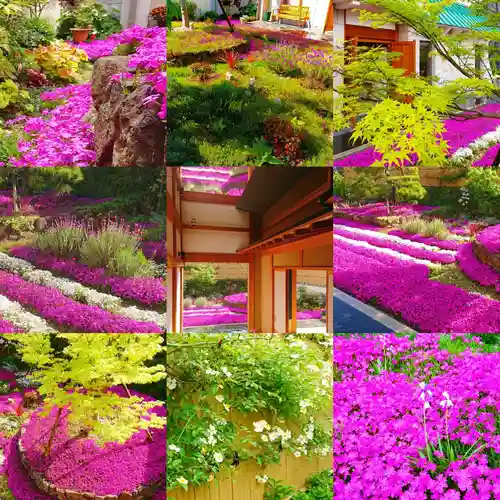 寿量山　速成寺(奈良県)