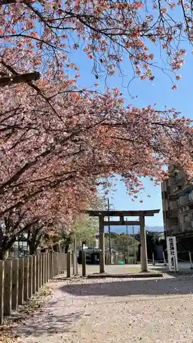 住吉神社(大阪府)