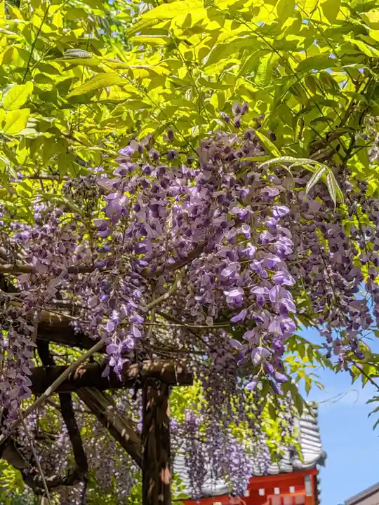 藤神稲荷神社(東京都)