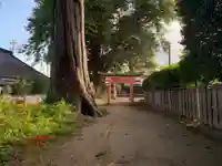 八幡大神(千葉県)