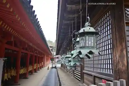 春日大社(奈良県)