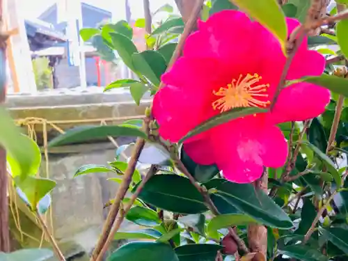 總社 和田八幡宮の自然