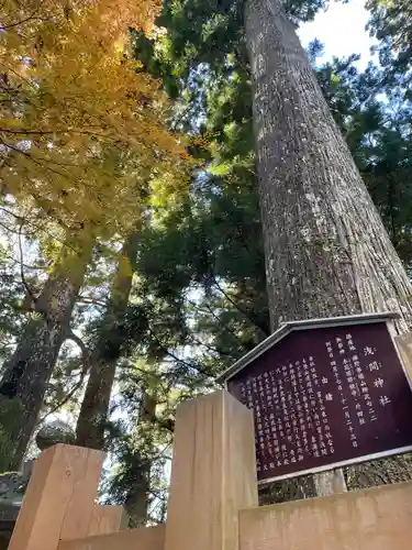 須山浅間神社(静岡県)