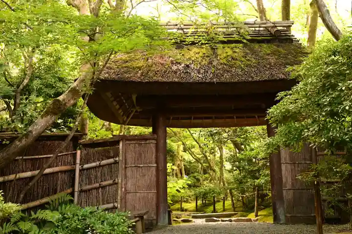 祇王寺(京都府)