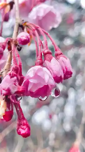 浄居寺(山梨県)