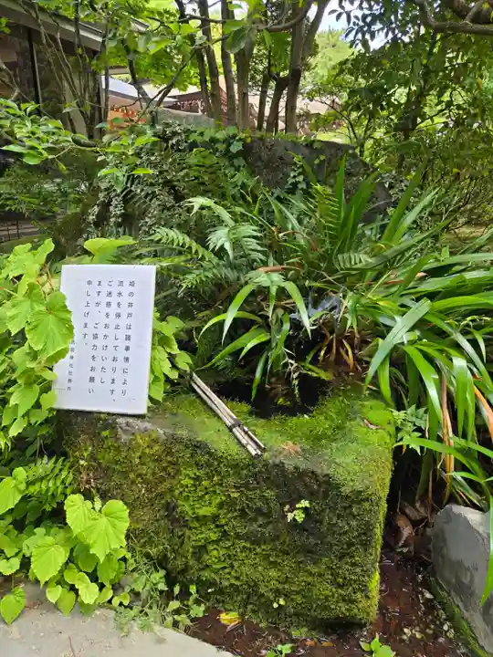 武田神社(山梨県)
