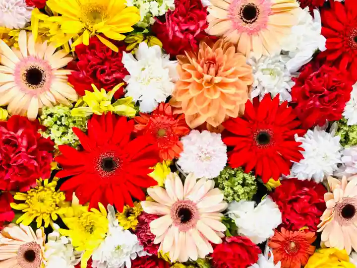 美濃國一宮 南宮大社の自然