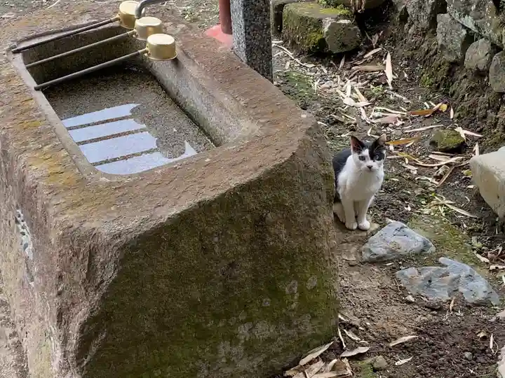 大聖院(高塚不動尊)の動物
