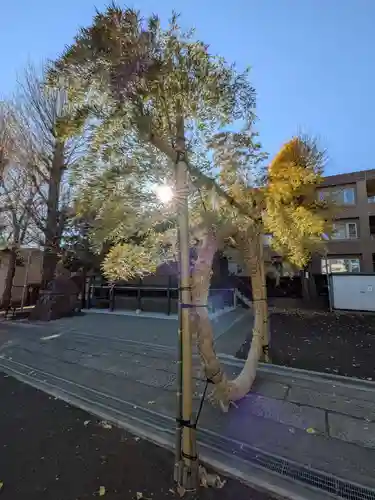 須賀神社(東京都)