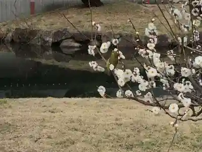 宇佐神宮(大分県)