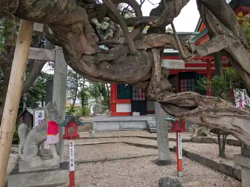 豊藤稲荷神社(愛知県)