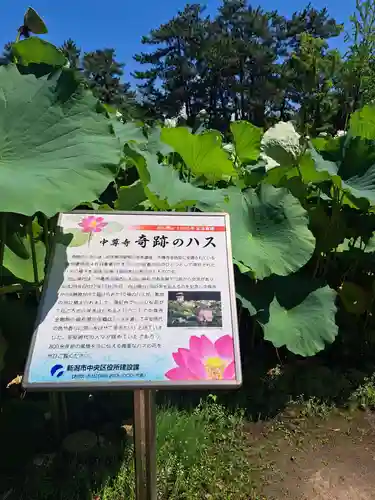 白山神社(新潟県)