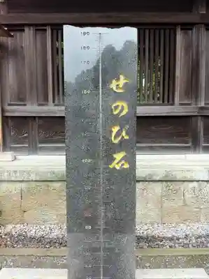 阿蘇神社の体験その他