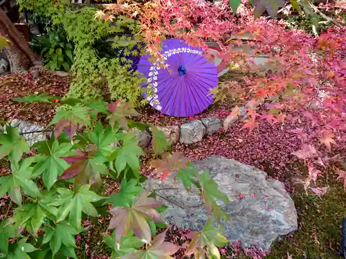 勝林寺の庭園