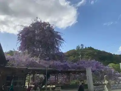 神光寺(徳島県)