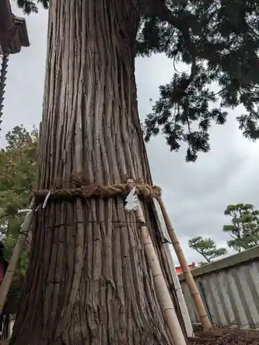 鼬幣稲荷神社(岩手県)