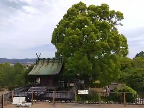 柳澤神社(奈良県)