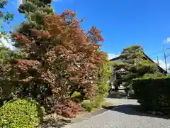 神光院(京都府)