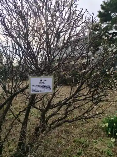 龍泉寺(神奈川県)