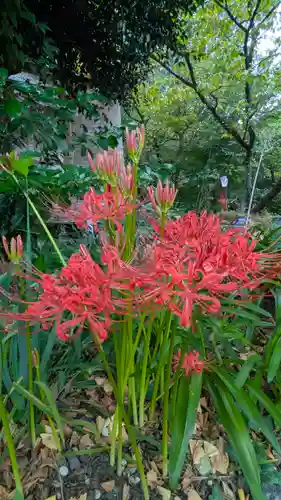平野神社(京都府)