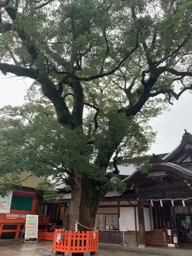 宇佐神宮の自然