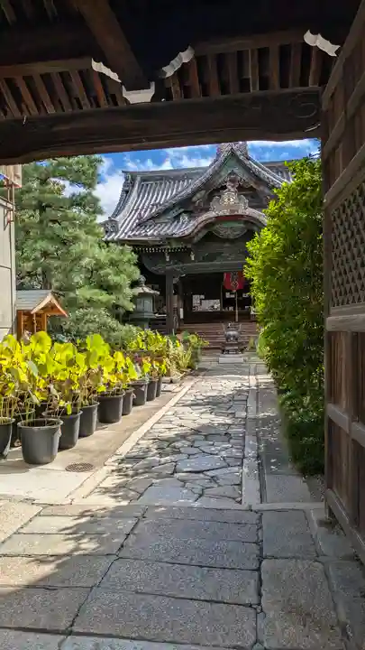 行願寺(革堂)(京都府)