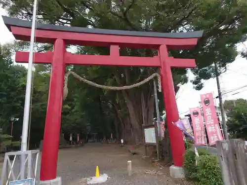 生品神社の鳥居