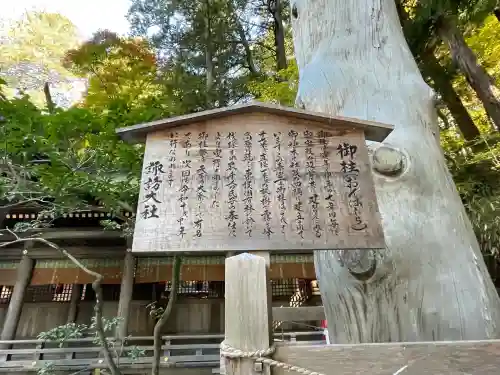 諏訪大社下社春宮(長野県)