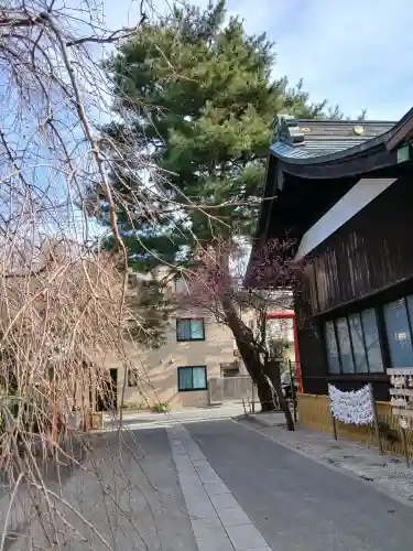 猿田彦神社の{uncategorized: "未分類", other: "その他", undefined: "問題あり", building: "その他建物", grave: "お墓", sacred_gate: "鳥居", guardian: "狛犬", statue: "像", buddha: "仏像", history: "歴史", nature: "自然", garden: "庭園", animal: "動物", pagoda: "塔", temizu: "手水舎", mountain_gate: "山門・神門", sanctuary: "本殿・本堂", subordinate: "末社・摂社", art: "芸術", scenery: "景色", jizo: "地蔵", ema: "絵馬", goshuin: "御朱印", omikuji: "おみくじ", items: "授与品その他", amulet: "お守り", goshuincho: "御朱印帳", eats: "食事", festival: "お祭り", votive_dance: "神楽", shichigosan: "七五三参", wedding: "結婚式", experience: "体験その他", initially: "初詣", around: "周辺", anti_infection: "感染症対策"}