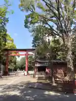 武蔵一宮氷川神社(埼玉県)